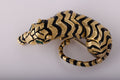 David Webb tiger brooch